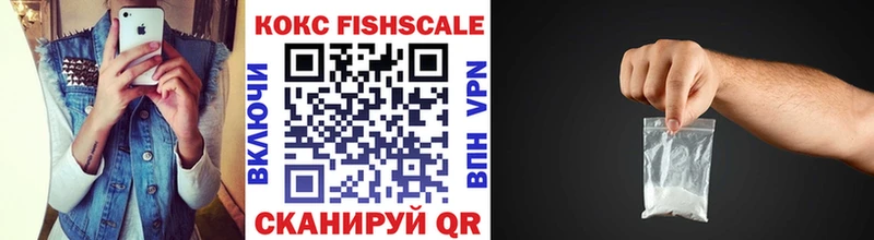 Cocaine Fish Scale  Купить закладки  Грязовец 