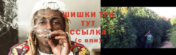 mdpv Елизово