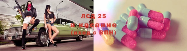 mdpv Елизово