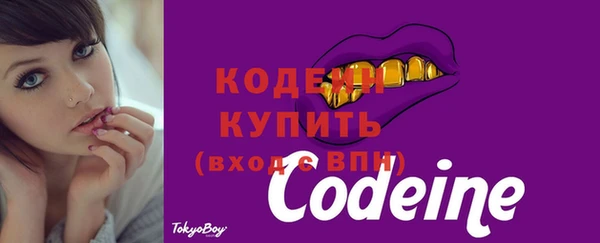 mdpv Елизово