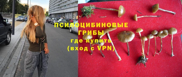 героин Ельня