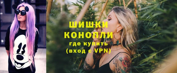 mdpv Елизово